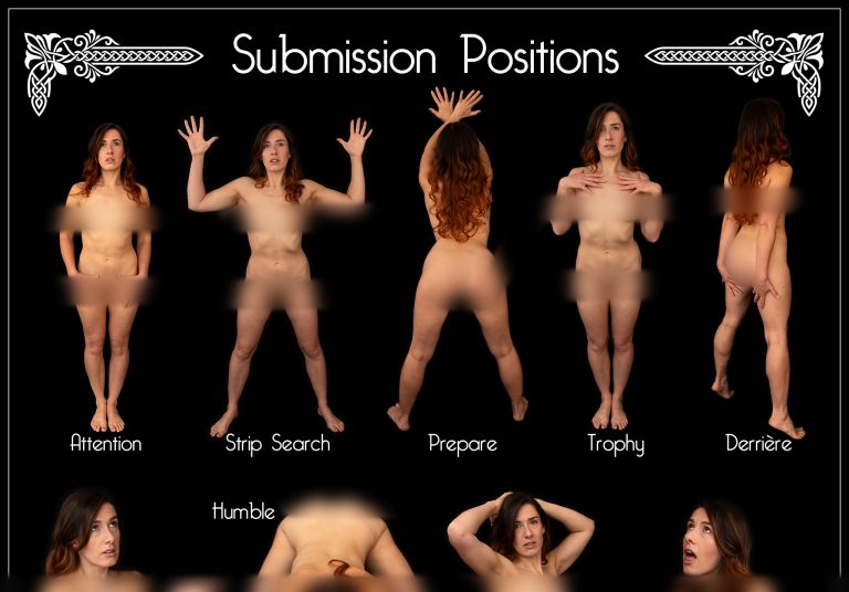 Submission Positions: Lulu